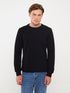 LC Waikiki Crew Neck Long Sleeve Men's Sweatshirt